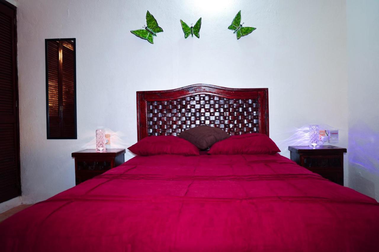 Apartamento Queen Grandiahouse *